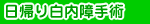 ���A�蔒�����p
