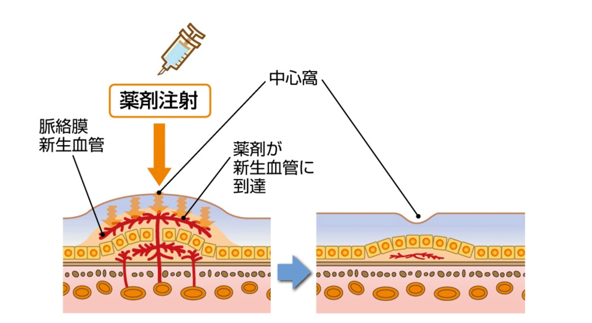 院長画像